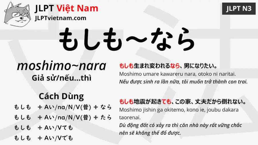 jlpt-N3-ngữ-pháp-もしも～なら-moshimo-nara-ý-nghĩa-ví-dụ